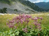 15° Fiori sul lago